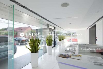 Spațiu comercial, de 1,183 mp, în Mihai Bravu - 4