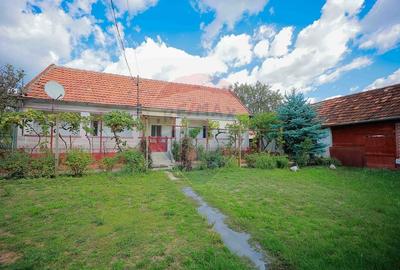 Casa cu 4 camere de vanzare  si teren 4063 mp, in Ineu, Bihor - 13