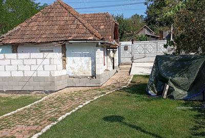 Casă în Bolduț