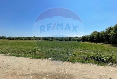 TEREN  INTRAVILAN  5000mp ORAS CISNADIE  STR. SELIMBARULUI - 16