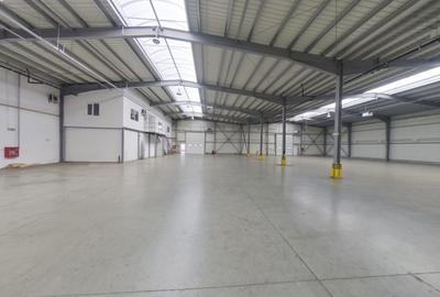 Spațiu industrial, de 829 mp, în Sud - 2