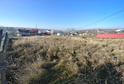 Spațiu comercial, în Răchiți - 5