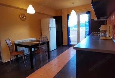 Inchiriez apartament 3 camere Micro 4 - 10