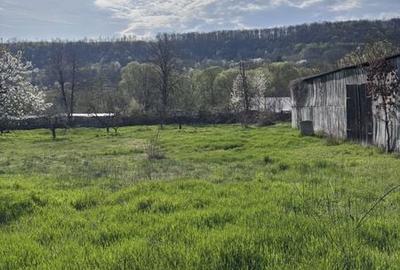 Teren de 5224 mp, în Dobrești - 3