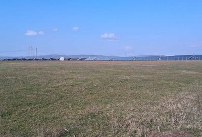 Teren de 8100 mp, în Central - 5