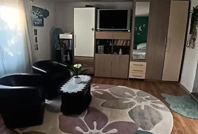 Casă cu 4 camere cu Teren 2300 Mp în Valea Borcutului - 9