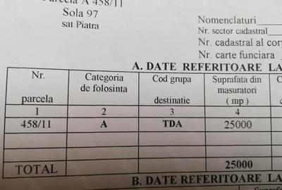 Teren de 25000 mp, în Mihail Kogălniceanu - 4