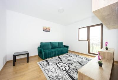 Apartament cu 2 camere decomandat, mobilat în Lunca Cetățuii - 3