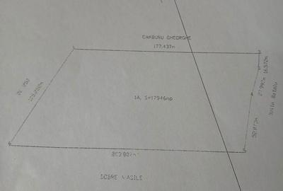 Teren de 18000 mp, în Afumați - 1