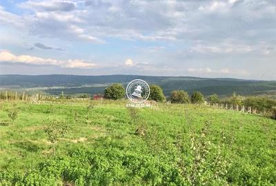 Teren de 6800 mp, în Mogoșești - 4