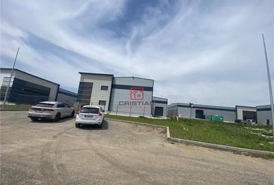 Spațiu comercial, de 1,130 mp, în Mogoșoaia - 5