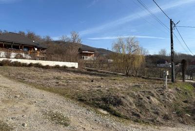 Spațiu comercial, în Vlădești - 5