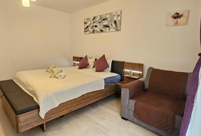 Garsonieră decomandată în Avantgarden - 10