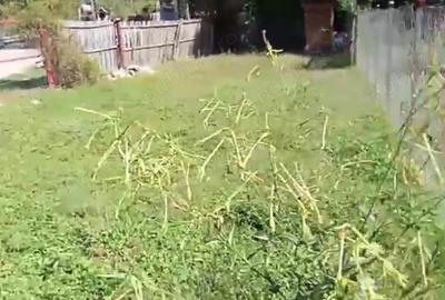 Casa de vanzare Draghici - Arge? - 4