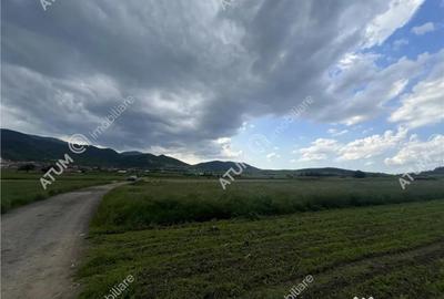 Teren de 3477 mp, în Boița - 4