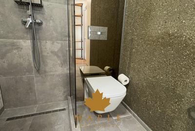 De inchiriat Apartament 2 camere Dinamic City Floreasca Barbu Vacarescu - 15