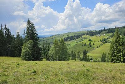 Teren de 36255 mp, în Breaza - 2