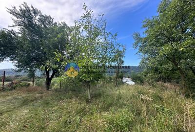 Teren + Casa de Vanzare 1170 mp Dumbrava Ro?ie, N - 13