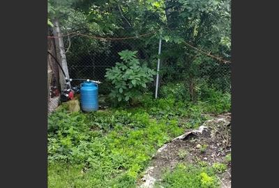 Casă cu gradina 1255mp cu sere, Copaceni , 25km de Cj-N,comision 0% - 23