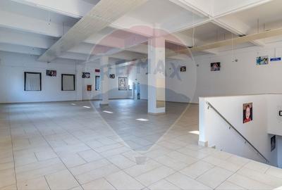 Proprietate speciala in cartierul Marasti/4048 mp + hala+ magazin - 7