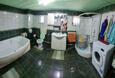 Casă cu 6 camere cu Teren 3000 Mp în Mintia - 1