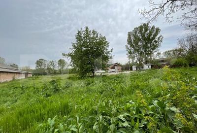 Oportunitate! Teren intravilan 3 hectare, Bals - 3