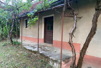 Casă cu 3 camere în Șișterea - 6