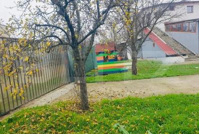 Hala/depozit/service auto in Dudovicesti, com. Simnicu de Sus - 4