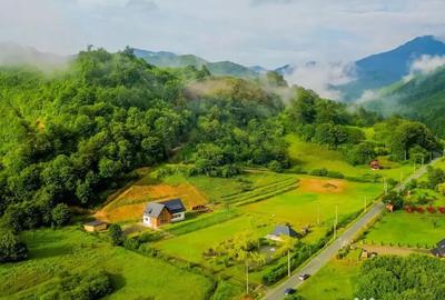 Casă cu 7 camere cu Teren 6370 Mp în Groși - 6