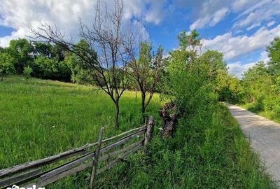 Teren de 4754 mp, în Moțăieni - 5