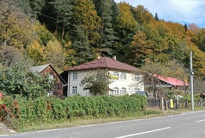 Vila de vanzare, posibilitate pensiune - 1