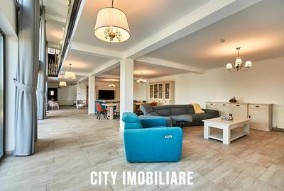 Casa de vacanta in Toplita, langa partia de schi, ideala pentru relaxare si inve - 9