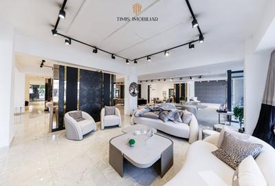Spațiu comercial, de 450 mp, în Traian - 18