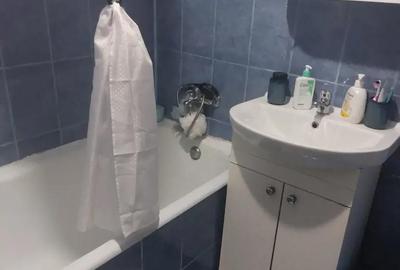 Apartament cu 2 camere semidecomandat în Brezoi - 6