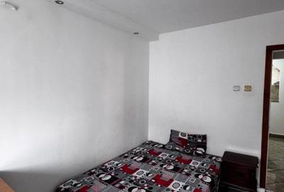 Apartament cu 3 camere decomandat, mobilat în Lăpuș Argeș - 9