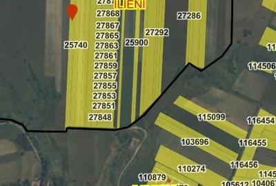 Teren agricol extravilan de 13400 mp, în Dobolii de Jos - 2