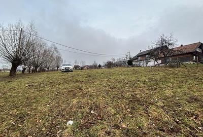 Teren Moieciu cu vedere catre Paitra Craiului - 4