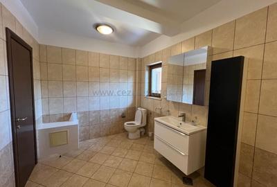 PIPERA IANCU NICOLAE  DE INCHIRIAT VILA SPATIOASA IN COMPLEX - 20