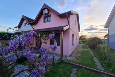 Casă cu 2 camere în Moșnița Nouă - 5