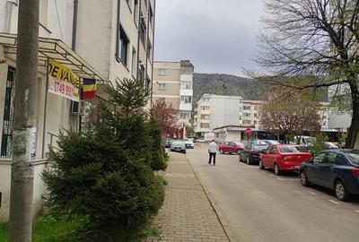 Garsonieră decomandată, mobilată în Precista - 2