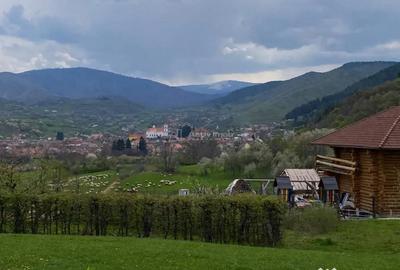 Teren de 2455 mp, în Rășinari - 5