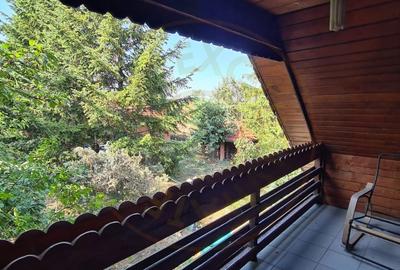 De Vanzare Casa si Cabana 74 ari Viille Satu Mare - 4