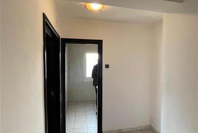 Apartament cu 2 camere semidecomandat în Pantelimon - 4