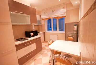 Apartament cu o camera de inchiriat in zona Dambul Rotund - 2