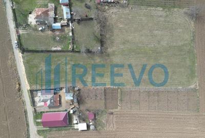 Teren de vanzare, Sat Bazga, Com. Horge?ti, Bacau - 3