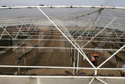 Teren 14.000 mp, zona Drambar - Ciugud - 4