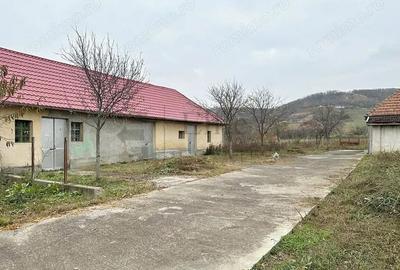 Casa cu 3 Hale si teren 8000 mp in Ulileacu de Cris, Bihor Casa cu 3 Hale si teren 8000 mp in Ulileacu de Cris, Bihor - 7