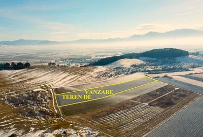 Teren in Sanpetru zona Lempes, retras cu panorama deosebita - 6