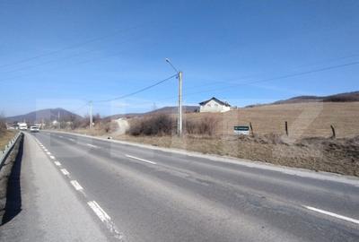 Teren intravilan de vanzare, 50 ari, zona Crainimat - 3