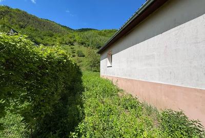 Casă individuală cu 3 camere cu Teren 802 Mp în Lotrioara - 12